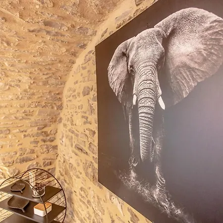 Casa vacanze Le Clos Des Vignes Villefranche-de-Rouergue