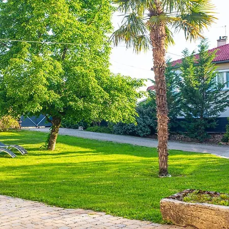 Le Clos Des Vignes *