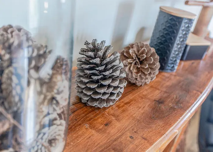 Le Clos Des Vignes Hébergement de vacances Villefranche-de-Rouergue