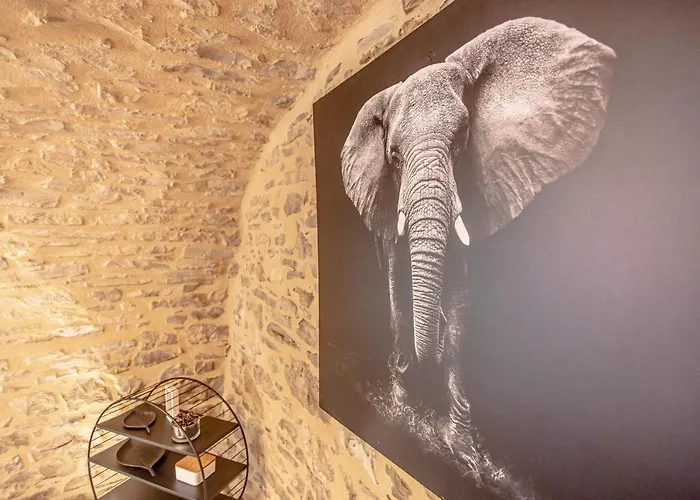 Hébergement de vacances Le Clos Des Vignes Villefranche-de-Rouergue